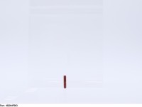 402044P003