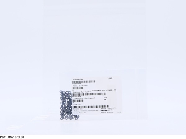MS21073L08