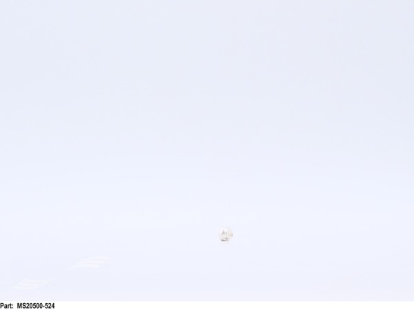 MS20500-524