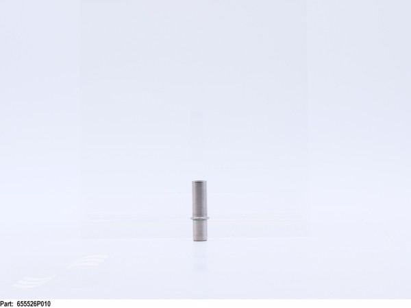 655526P010