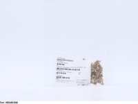 MS24693S48
