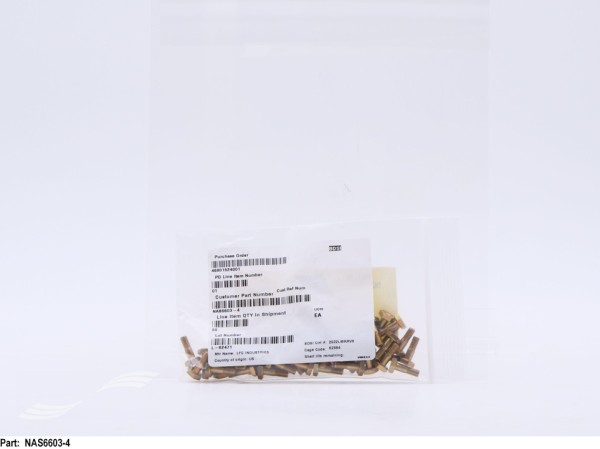 NAS6603-4